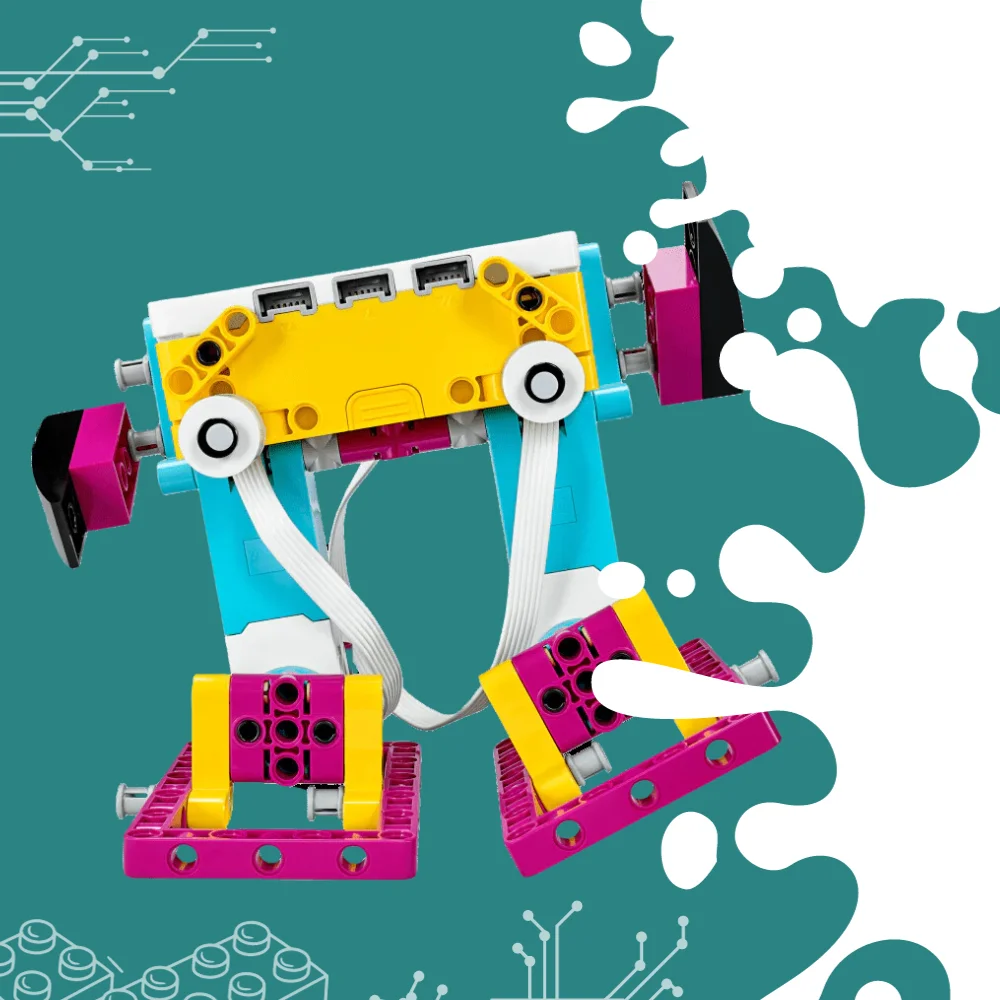 subscribe newsletter